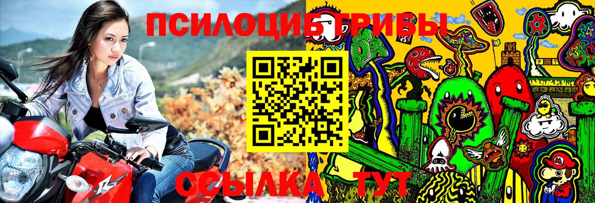 Псилоцибиновые грибы прущие грибы Бирск