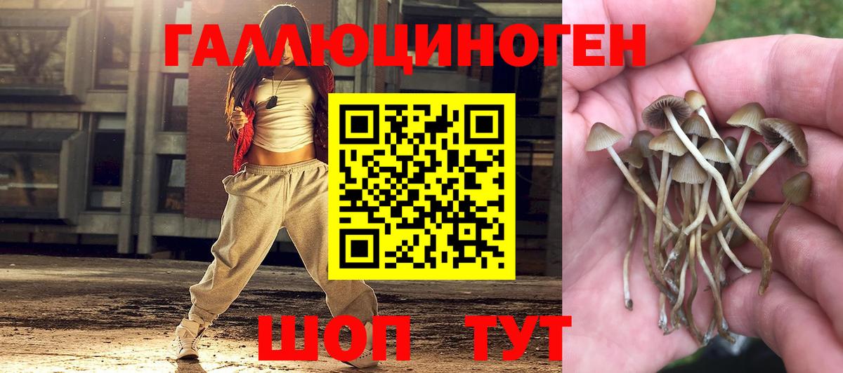Псилоцибиновые грибы Cubensis  Галлюциногенные грибы мицелий  Бирск  купить наркотики цена  Вход с VPN 